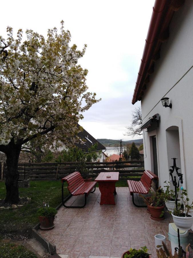 Kossuth Lajos Utca 73 Apartman Nabuka 蒂豪尼 外观 照片