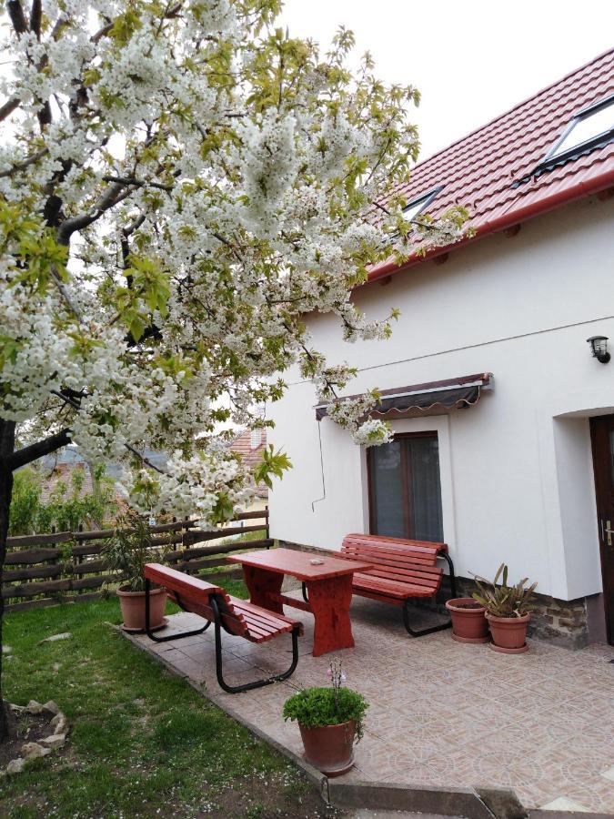 Kossuth Lajos Utca 73 Apartman Nabuka 蒂豪尼 外观 照片